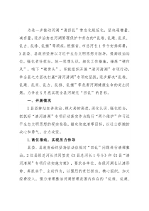 2021年X县“清河清湖”专项行动工作总结