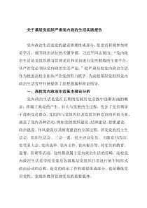 关于基层党组织严肃党内政治生活实践报告