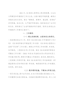 生态文明建设和环境保护工作开展情况专题报告