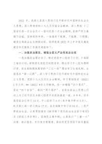 市局2022年上半年履行党风廉政建设和反腐败工作情况报告