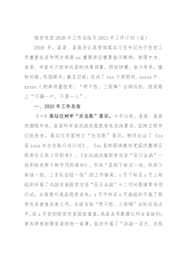 脱贫攻坚2020年工作总结及2021年工作计划（县）