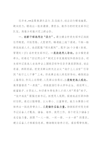 村党支部书记队伍建设工作汇报