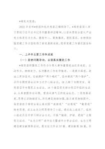 党委关于2022年上半年党建工作情况的报告