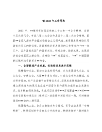 镇2023年工作思路