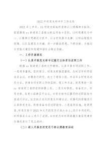 2022年村党支部半年工作总结