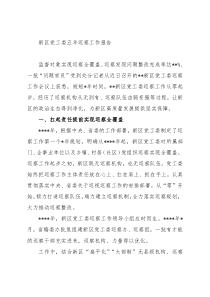 新区党工委五年巡察工作报告