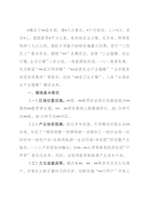 乡镇乡村振兴战略实施情况总结