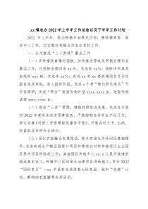xx镇农办2022年上半年工作总结以及下半年工作计划