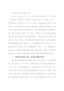 国企党支部主要负责人组织落实巡察整改工作情况报告