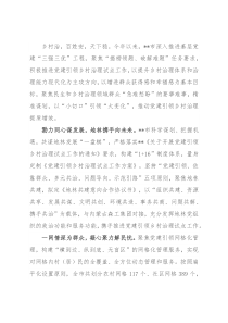 以高质量党建引领乡村治理 谱写乡村振兴新篇章