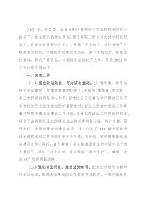 2021年镇法治政府工作述职报告
