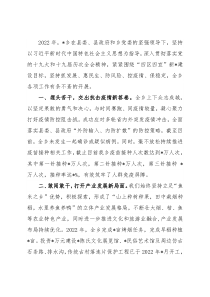 乡政府2022年重点工作汇报材料