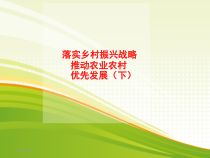 落实乡村振兴战略、推动农业农村优先发展（下）