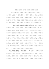 某县实施乡村振兴战略工作进展情况汇报