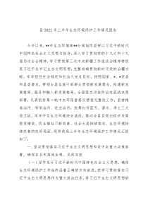 县2022年上半年生态环境保护工作情况报告