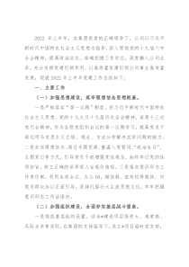 公司2022年上半年党建工作总结