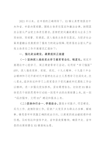 镇关于落实全面从严治党主体责任工作情况的报告