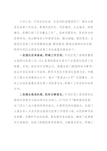 党工委全面深化改革工作自查报告