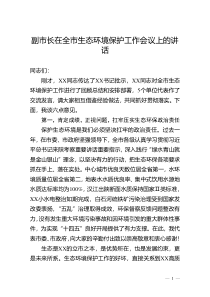 副市长在全市生态环境保护工作会议上的讲话