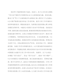 集团党委书记在集体政治谈话会上的点评讲话