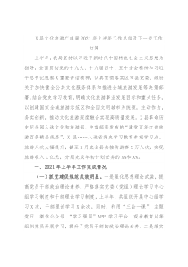 X县文化旅游广电局2021年上半年工作总结及下一步工作打算