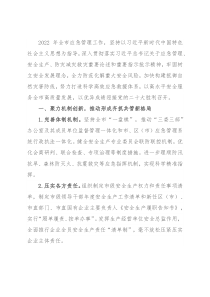 市2022年应急管理工作要点