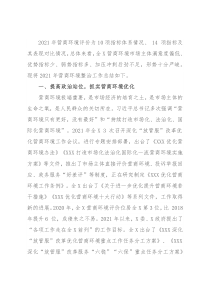 2021年营商环境整治工作总结