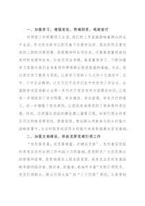 某村支部书记述职报告