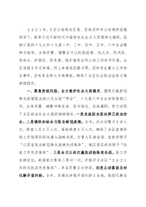 区公安局2021年工作总结报告