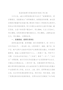 某县抓招商引资推动经济发展工作汇报