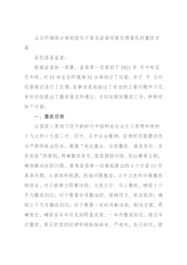 生态环境局分局党组关于落实县委巡察反馈意见的整改方案