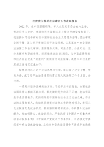 法院院长推进法治建设工作述职报告