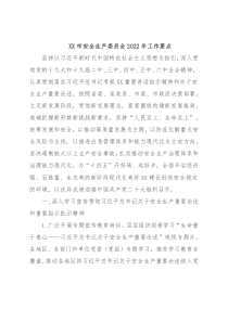 XX市安全生产委员会2022年工作要点