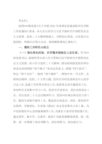 2022年党委书记年度党建述职报告