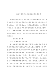 2022年度组织生活会班子对照检查材料