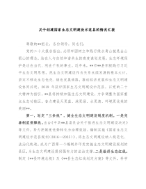 关于创建国家生态文明建设示范县的情况汇报