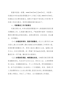 关于巡察整改进展情况的报告