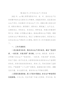 镇2022年上半年安全生产工作总结