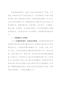 局党组关于巡察反馈问题的整改报告