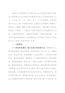 新时代文明实践工作汇报材料（村）