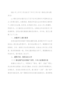 2021年上半年工作总结及下半年工作计划（镇农业综合服务站）