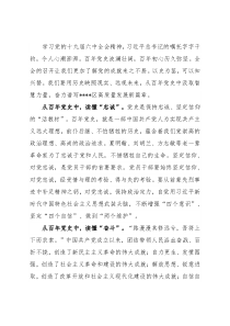 管委会主任研讨发言：从百年党史中汲取智慧力量奋力谱写区高质量发展新篇章