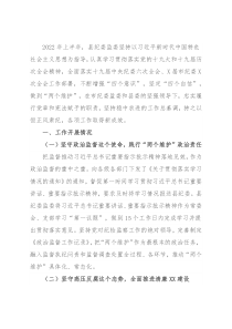 县纪委监委2022年上半年工作总结及下半年工作计划