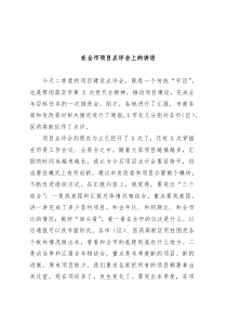 在全市项目点评会上的讲话