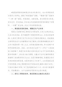 优化布局结构 强化管控能力 以试点改革推动集团高质量发展——集团交流发言材料