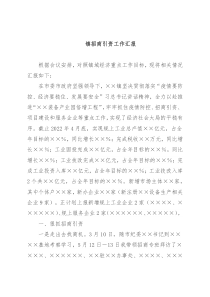 镇招商引资工作汇报