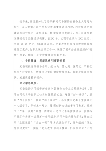 交流发言：“红色引擎”推动企业高质量转型发展