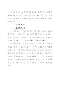 乡2022年重点工作汇报材料