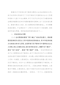 市委常委班子党史学习教育专题民主生活会对照检查材料