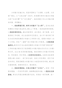 党建引领乡村振兴经验交流发言